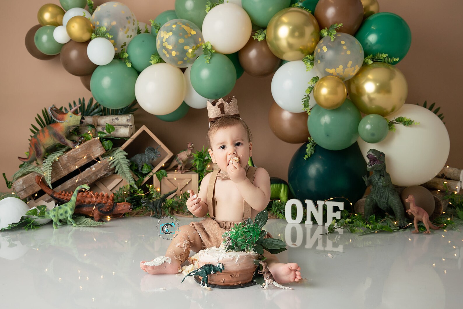 Dinosaur Balloon Arch Photography Backdrop T Rex Jungle | Etsy