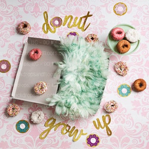 Donuts DIGITAL Photography Backdrop: Sweets, Donut Grow Up, Two Sweet, 2 Sweet, Doughnut, Pastry Baking, Sprinkles, Newborn Baby, Composite