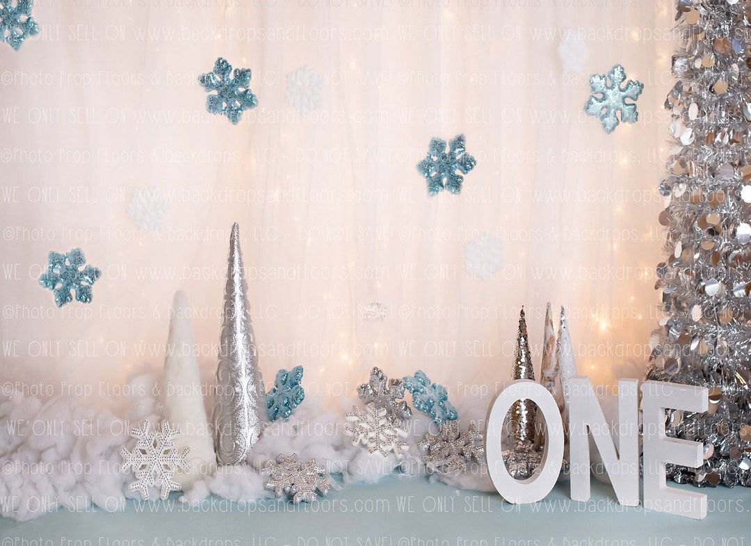 Winter Onederland Photography Backdrop Wonderland, Snowflakes, Silver