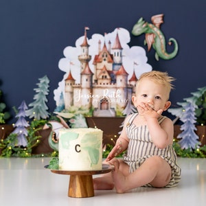 May include: A baby boy in a striped onesie sits in front of a cake decorated with a green dragon and the letter 'C'. The cake is on a wooden stand. The background features a castle and a dragon cutout.
