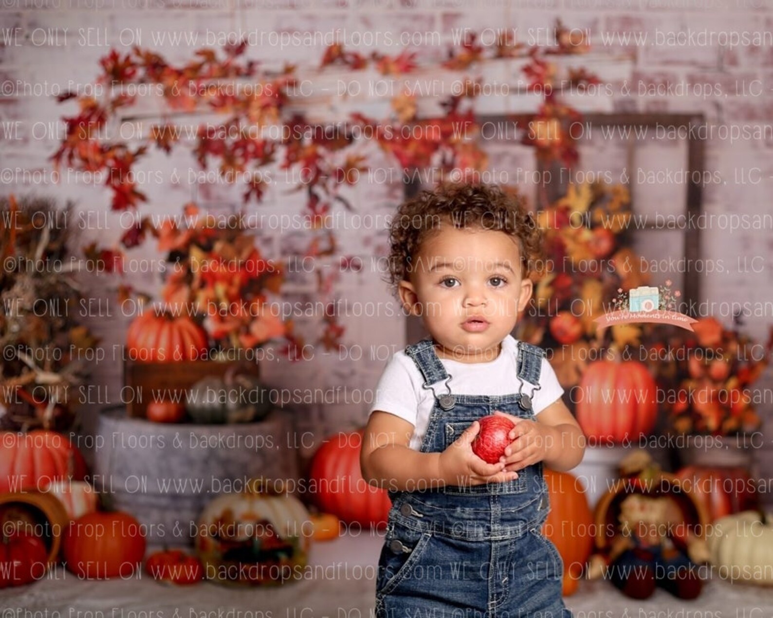 Rustic Fall Photography Backdrop Door White Washed Brick - Etsy