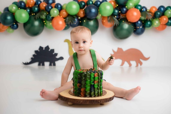 Dinosaur Balloon Arch Photography Backdrop T Rex Jungle | Etsy