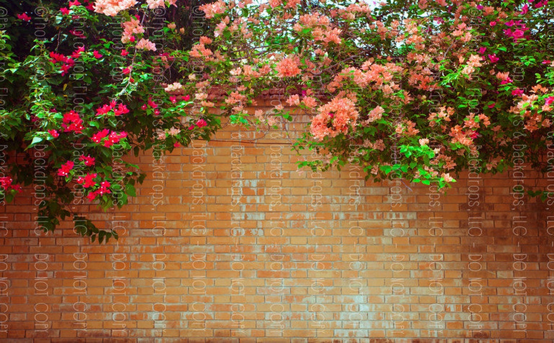 Flowers on Brick Wall Photography Backdrop Floral Spring Etsy