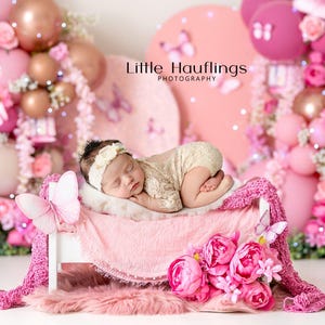 May include: A newborn baby girl sleeping on a pink bed with a white frame. The bed is decorated with pink flowers and a butterfly. The background is a wall of pink and white balloons with the text "Little Hauflings Photography".