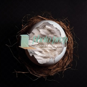 Fondo digital de nido de pájaro con huevo roto de primavera: plumas, Pascua, cáscara de huevo, cría, pollito recién nacido en flor, huevo roto de guardería de primavera.