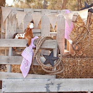 Western Cowgirl DIGITAL Photography Backdrop - Horse, Equestrian, Cattle, Rancher, Rodeo, Children, Barn, Farm, Country, Pink, Hay