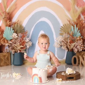 Neutral Boho Rainbow Balloon Arch Photography Backdrop - Natural, Peach, Cream, Colorful, Pampas, Plants, Vase, Bohemian Birthday Cake Smash