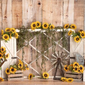 May include: A rustic backdrop featuring a wooden wall and floor, adorned with sunflowers, a white window frame, and decorative elements. Includes a watering can, wooden crates, a windmill, and a metal butterfly. The scene evokes a farmhouse theme.