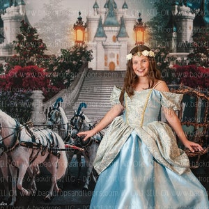 Princess Horse Carriage and Castle Photography Backdrop - Fairy Godmother, Glass Slipper, Vintage, Fairy Tale, Story, Cake Smash, Cinderella