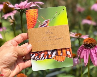 Louisiana Garden Postcard Set | Butterfly, Dragonfly Wildlife Photography Cards