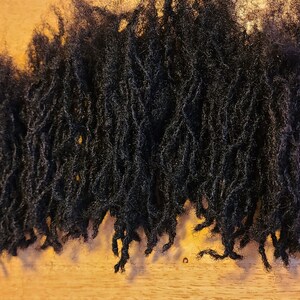 sisterlock locs