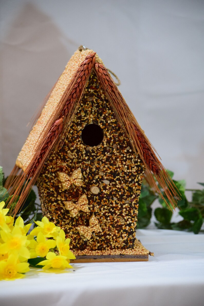 Butterfly Edible Birdhouse Squirrel Resistant Etsy