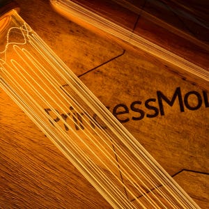 May include: Close-up of a vintage-style light bulb with a warm, amber glow. The bulb's filament is visible, and the words "PrincessMois" are printed on the wooden surface below. The overall aesthetic is rustic and warm.