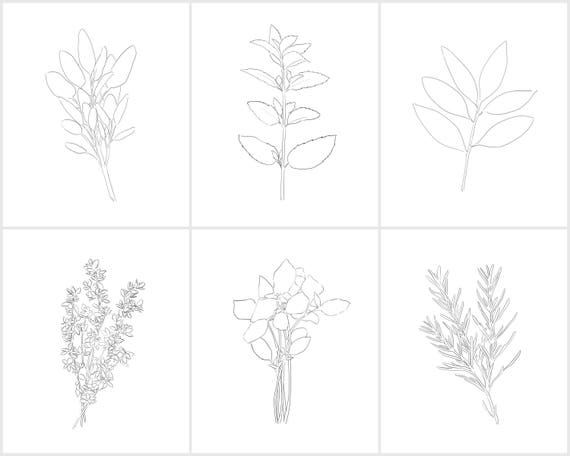 Herb Template Instant Download | Etsy