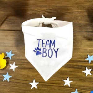 Team Boy Dog Bandana Blue Gender Reveal Baby Shower Party Decoration Photo Prop