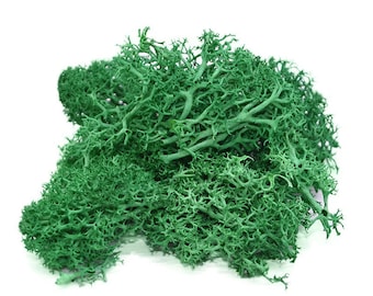 Artificial Moss 40g Green DIY Craft Mini Fake Lichen Grass Plant Landscape Decor