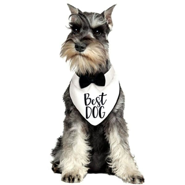 Best Dog Bandana Bow Tie Collar Tuxedo Wedding Clothes Costume Outfit Pet