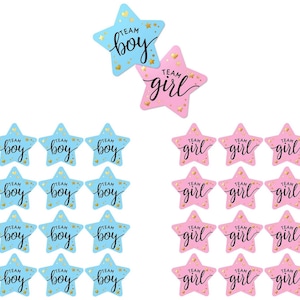 Gender Reveal Baby Shower Party Games Team Boy or Girl Stickers Vote Favours