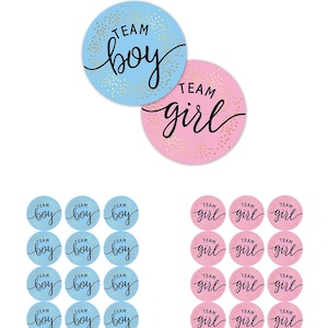 Gender Reveal Baby Shower Party Games Team Boy or Girl Stickers Vote Favours