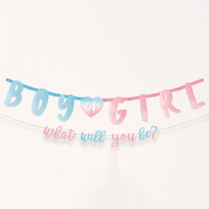 Gender Reveal Banner Baby Shower Decorations Boy or Girl Party Supplies