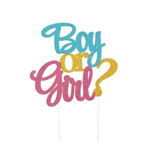 Gender Reveal Baby Shower Cake Topper Boy or Girl Party Decorations Supplies