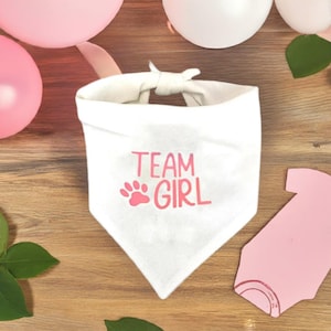 Gender Reveal Baby Shower Party Decoration Team Girl Dog Bandana Pink Photo Prop