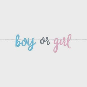 Gender Reveal Banner Baby Shower Decorations Boy or Girl Party Supplies