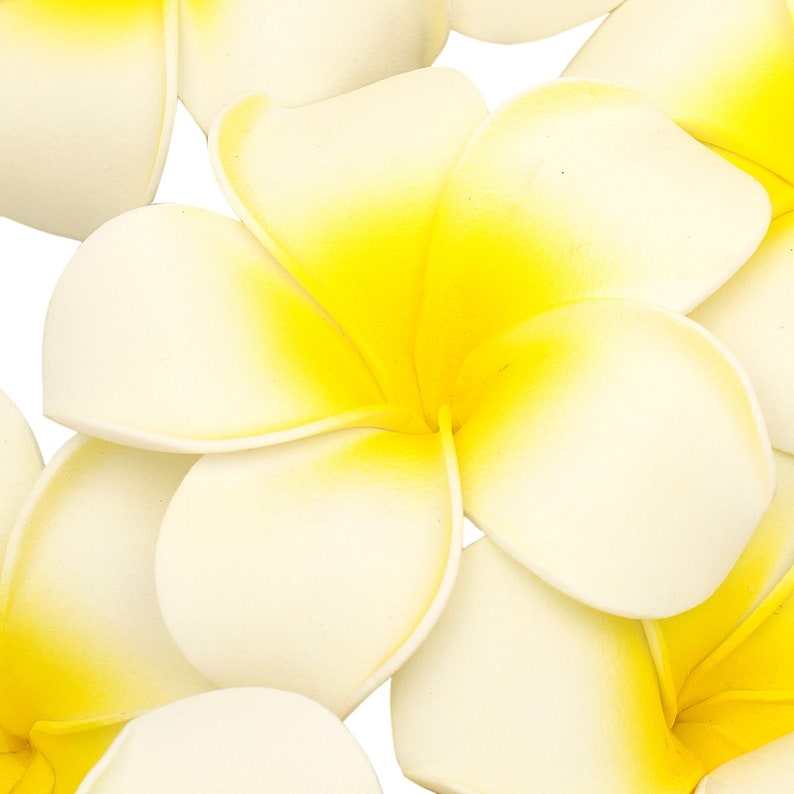 Artificial Frangipani Flowers X20 Small 45cm Latex Foam Etsy