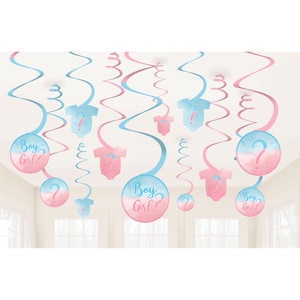 Gender Reveal Baby Shower Decorations Girl or Boy Party Supplies Swirls Banner