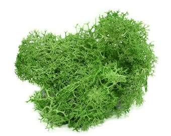Artificial Moss 40g Green DIY Craft Mini Fake Lichen Grass Plant Landscape Decor