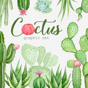 Cactus et succulentes Aquarelle, clipart de fleurs de verdure, clipart numérique, cactus peint à la main