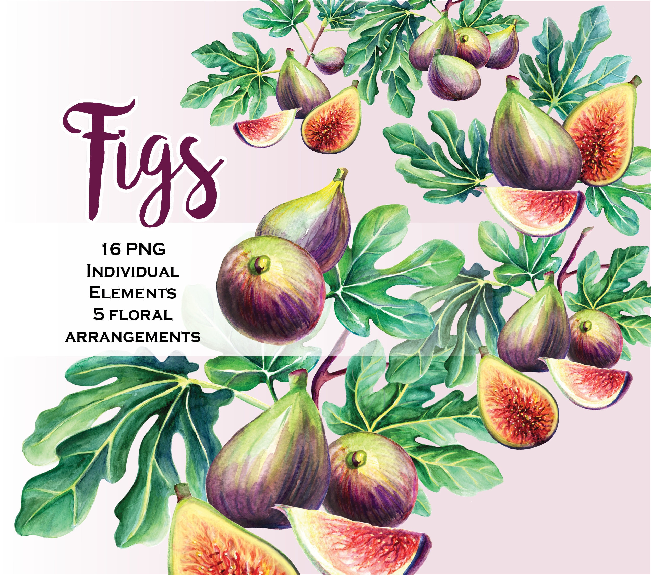 fig fruits images clipart