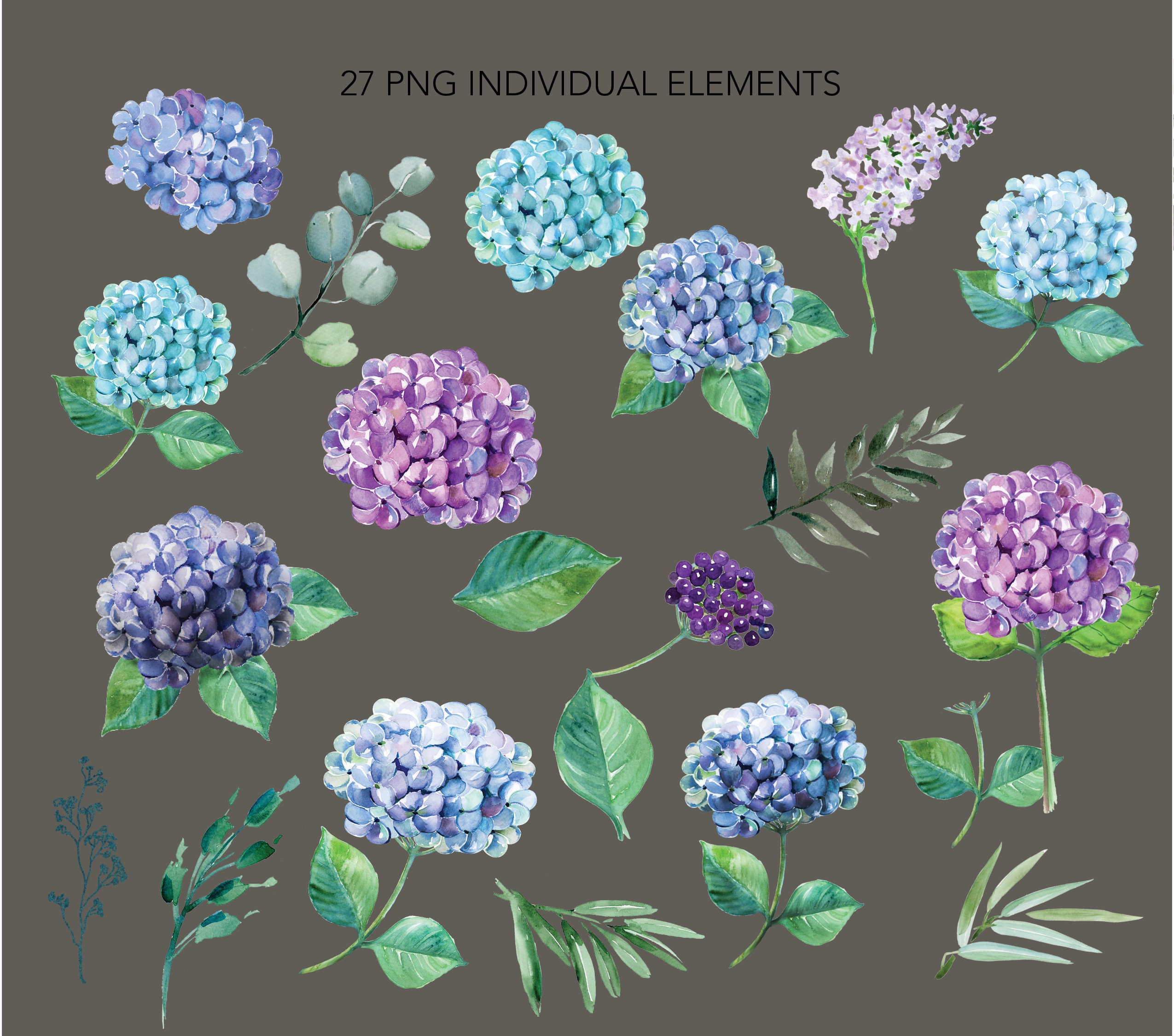 Blue hydrangea watercolor clip art. | Etsy