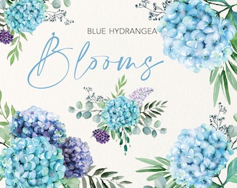 Blue hydrangea watercolor clip art.