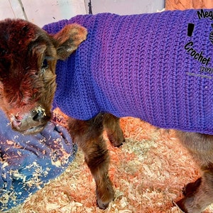 Blanket Jacket Crochet Pattern