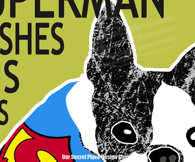 May include: A black and white dog with a Superman logo on its back. The text "Superman Dishes Is" is visible in the background.