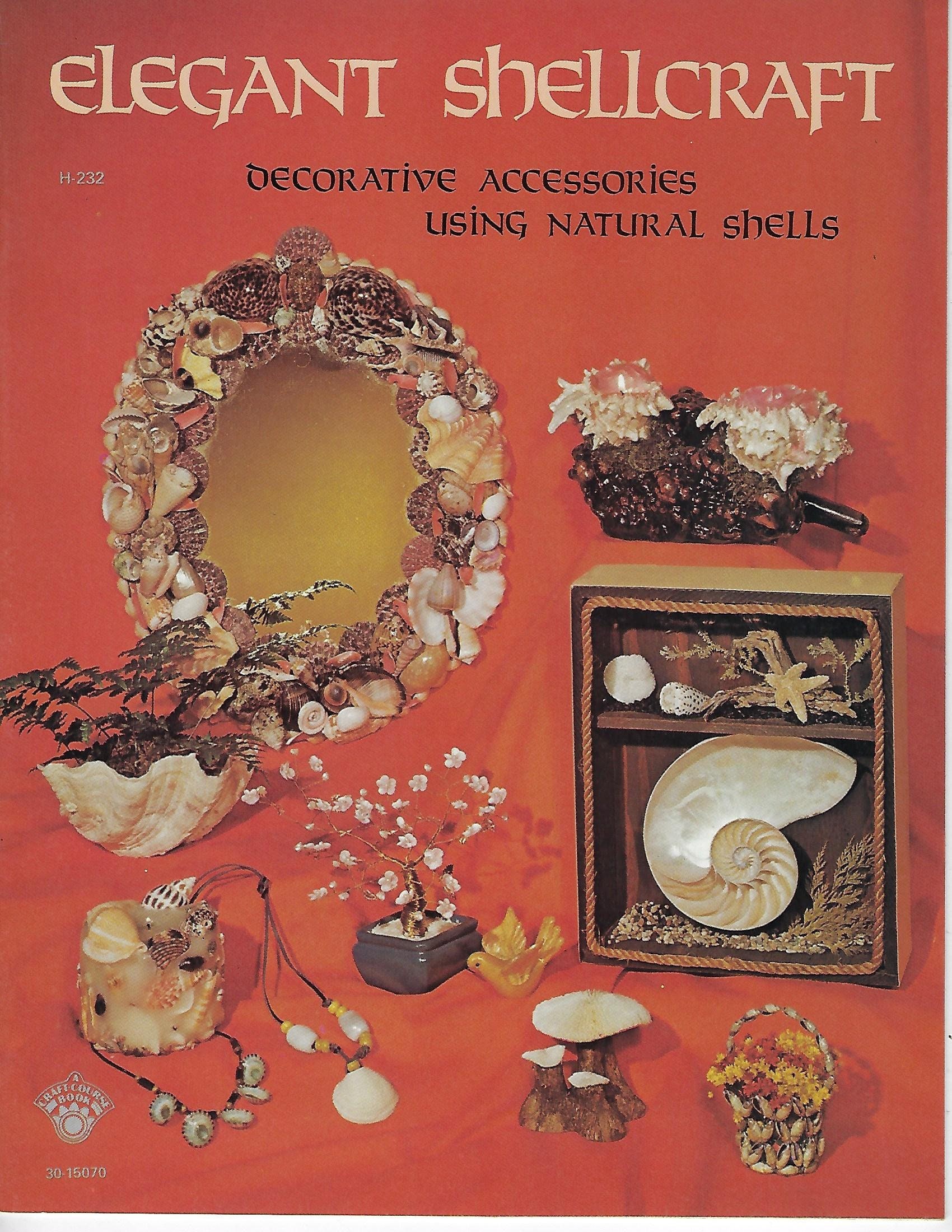 Elegant Shellcraft Decorative Accessories Using Natural Sea | Etsy