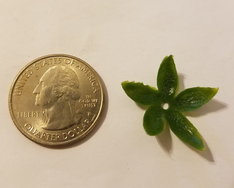 288 pcs Darice Small Artificial Green Plastic Flower Blossom Calyx Base Leaves Vintage Floral Crafts