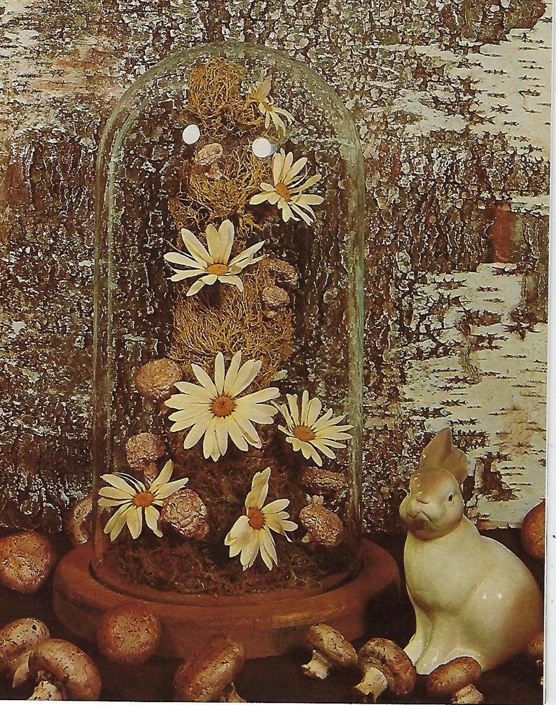 Drying Flowers With Silica Gel How to Dry Flowers Vintage Etsy