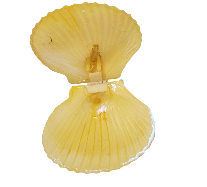 Pack of 10 Hinged Plastic Seashells Clam Shells for Crafts or Etsy