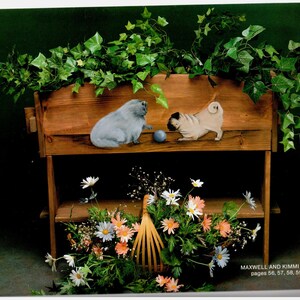 May include: A wooden shelf unit with two levels, decorated with painted pug and cat figures. The top shelf has a blue ball between the figures. The bottom shelf holds a basket of flowers. The text "MAXWELL AND KIMMI SOO pages 56, 57, 58, 59" is visible.