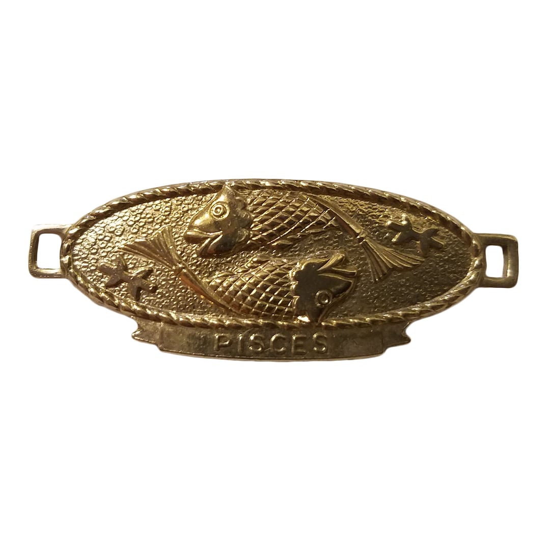 Pisces Fish Zodiac Astrology Sign Silver or Gold Tone Metal Charm ...