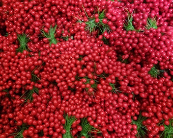 72 pcs Vintage Double Ended Red Holly Berries Stems Stamen Peps Christmas Crafts Millinery