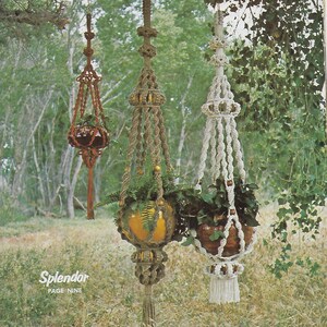 Peut inclure: Trois suspensions macramées pour plantes avec des cordons de différentes couleurs. Les suspensions sont accrochées à une branche d'arbre. Les suspensions sont décorées de perles et de glands. Le texte "Splendor Page Nine" est visible en bas de l'image.