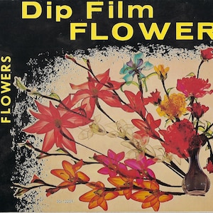 May include: A book cover with the title "Dip Film Flowers" in yellow letters on a black background. The cover features a colorful bouquet of flowers in a vase, including red, pink, orange, yellow, white, and blue flowers.