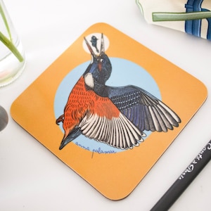 Kingfisher Coaster