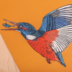 Kingfisher Art Print