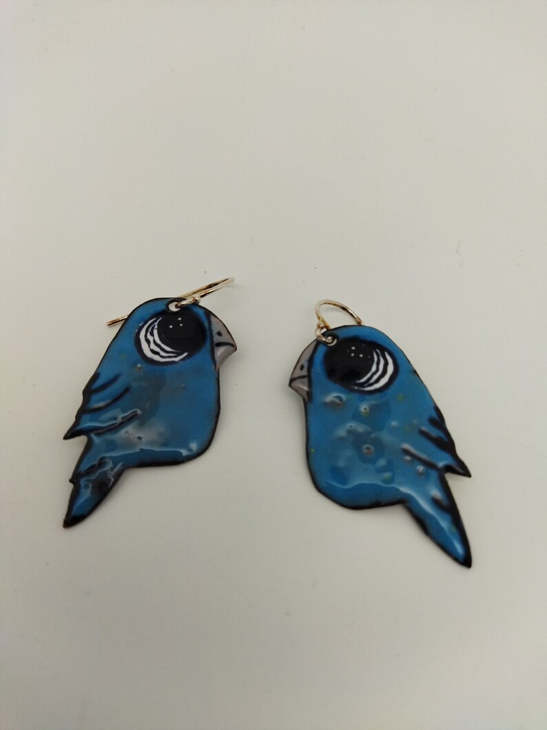 Parrots bleus, boucles d'oreilles fantaisie, émaux sur cuivre et argent image 3