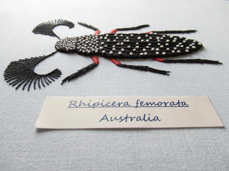 Feather Horned Beetle Embroidery Pattern Instant Download PDF - Etsy