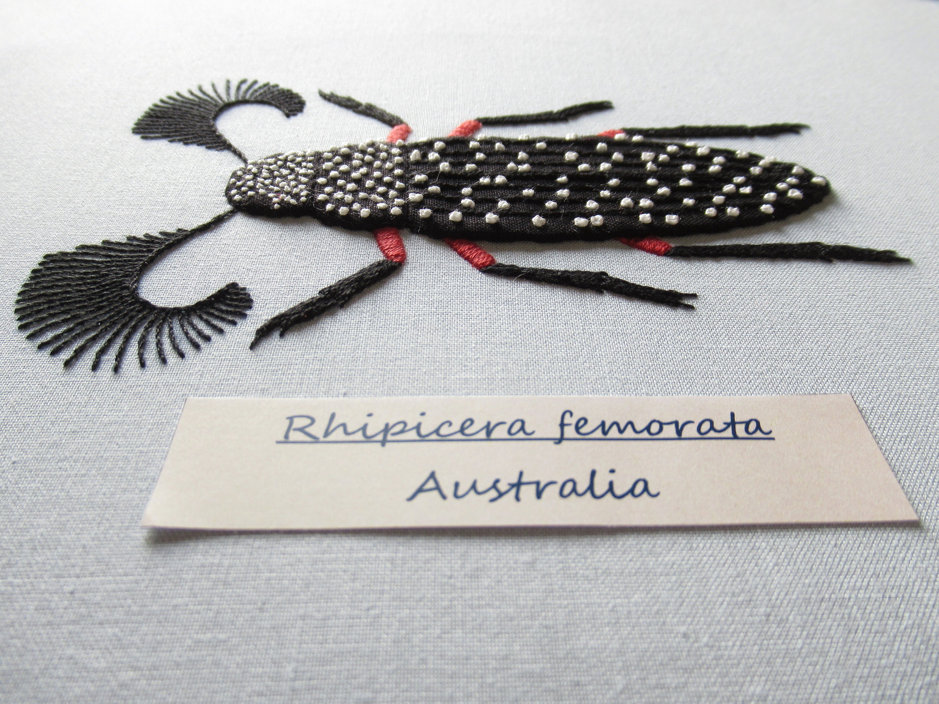 Feather Horned Beetle Embroidery Pattern Instant Download PDF - Etsy